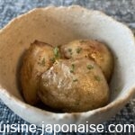 shinjagaamakarabutterni